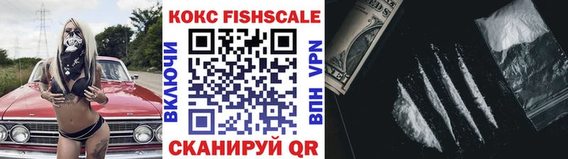 Купить закладки  Арсеньев  Кокаин Fish Scale 