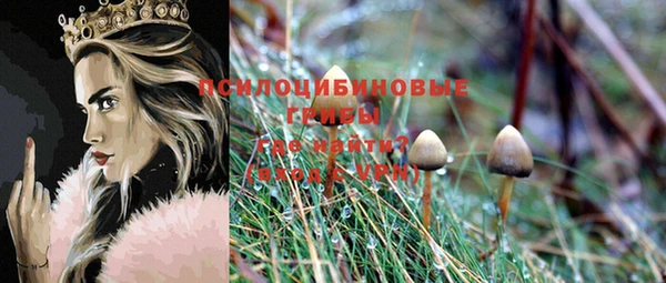 метадон Ладушкин