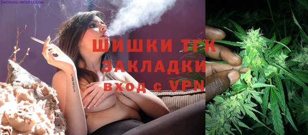 бошки Лагань