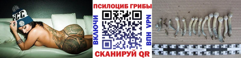 Купить где  Арсеньев  Псилоцибиновые грибы прущие грибы 